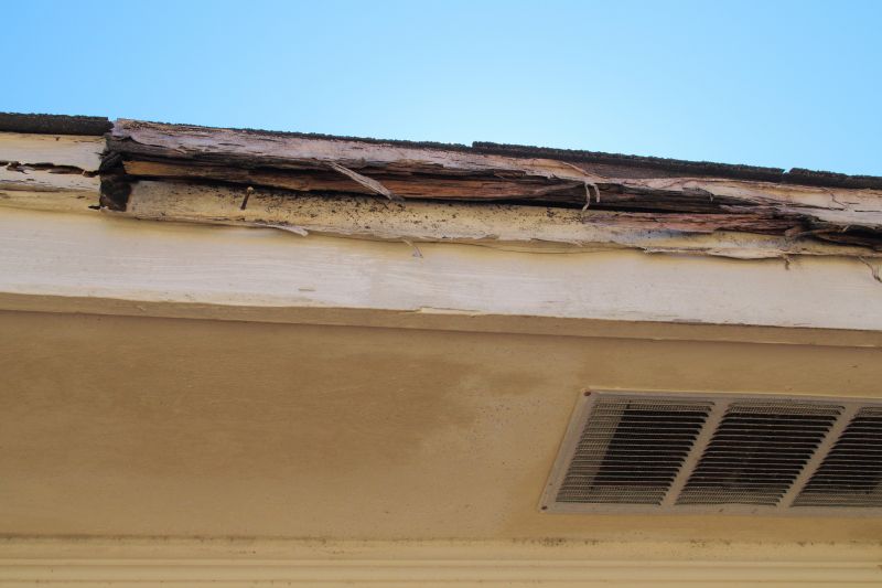 Post-Repair Fascia